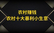 如何提高篮球罚球命中率?_0